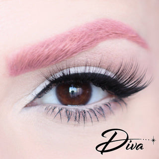 Dafna Poodle Collection: Lashes in Compact