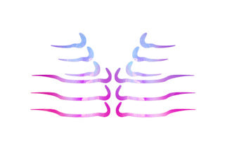 Face Lace /. Underliners