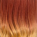 Deep Flame Ombré (3TAuburn27)