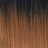 Dk Rt Chestnut (TT1B/2730)