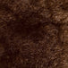 Warm Brown (6)