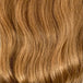 Ginger (27)
