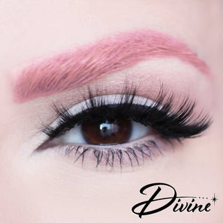 Dafna Poodle Collection: Lashes in Compact