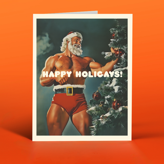 HAPPY HOLIGAYS!  christmas card