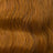 Ginger (Honey Ginger)