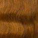 Ginger (Honey Ginger)