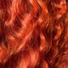 Ginger