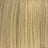 Lt Ash Blonde (LITEASHGOLD)