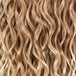 Blonde Ombre (T27/613)