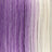 Purple / Blonde Split