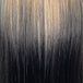 Blonde to Black Ombré