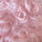 Rose Pink