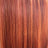 Ginger
