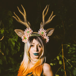 Dearest Deer