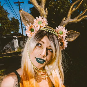 Dearest Deer