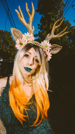 Dearest Deer