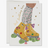 Roller Skates