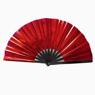 Iridescent Folding Fan