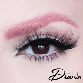 Dafna Poodle Collection: Lashes in Compact
