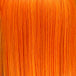 Tangerine (Gold Ginger)