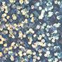 Kryolan Glitter Spray