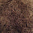 Dk Brown