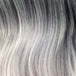 Dk Rt Grey (RT1B/SILVER)