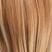 Blonde Ombre (T27/613)