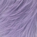 Dusty Lavender (Bellflower)
