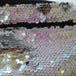 Iridescent/ Silver