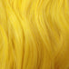Daffodil