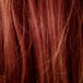 Dk Rt Chestnut (33/30/27)