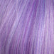 Lavender/ Violet (lav/pup)