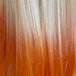 Dk Root Dreamsicle (Blonde to Orange)