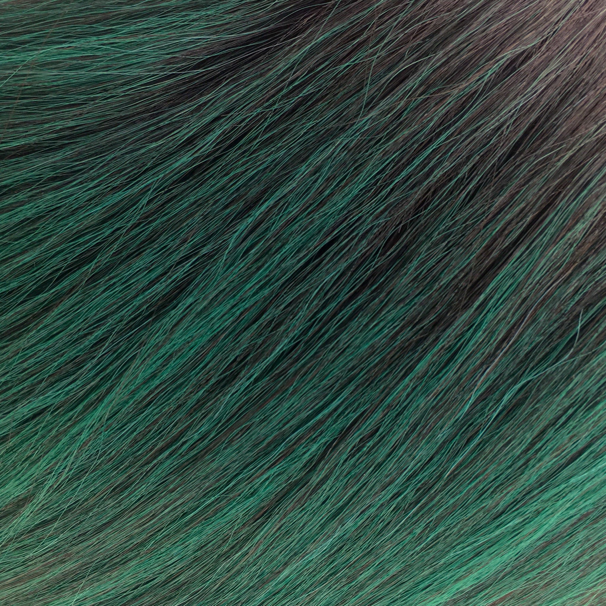 Priscilla (Lace Front + Heat Safe)