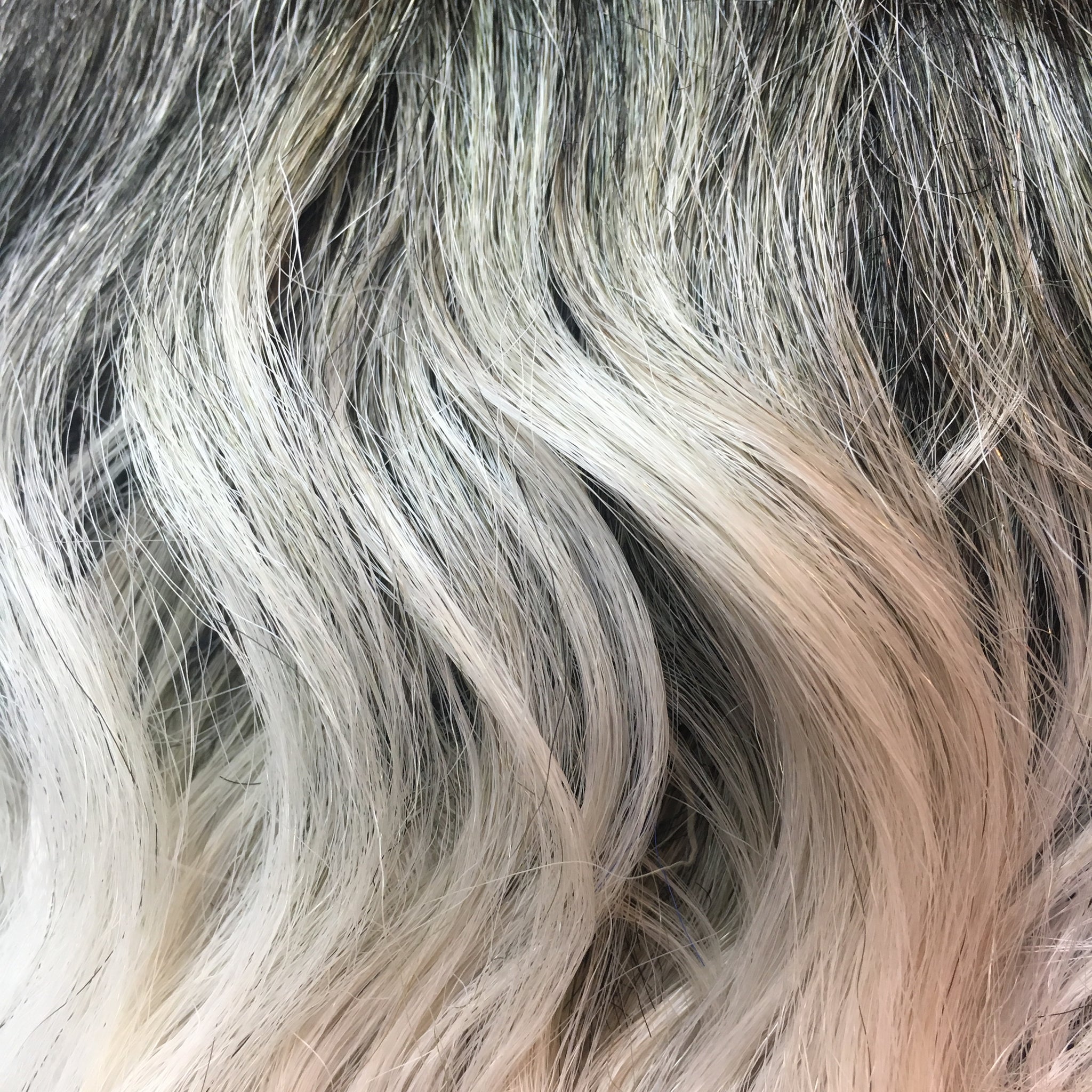 Celeste (Lace front + Heat safe)