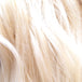 Blonde (613)