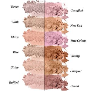 Pretty Vulgar / Eyeshadow Palettes
