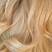 Blonde (Cali Blonde)
