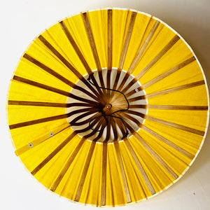Topi Foldaway Fan Hat