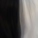 1/2 Black 1/2 White