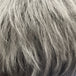 Ash Gray