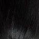 Black (1)