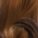 Dark Tipped Chestnut (DX27/30/33)