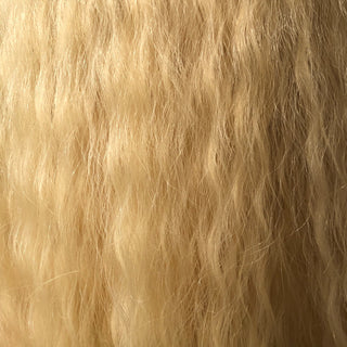 Raven (Heat Safe + Lace Front)