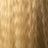 Blonde (613)