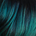 Emerald + Black (TT1B/Dark Green)