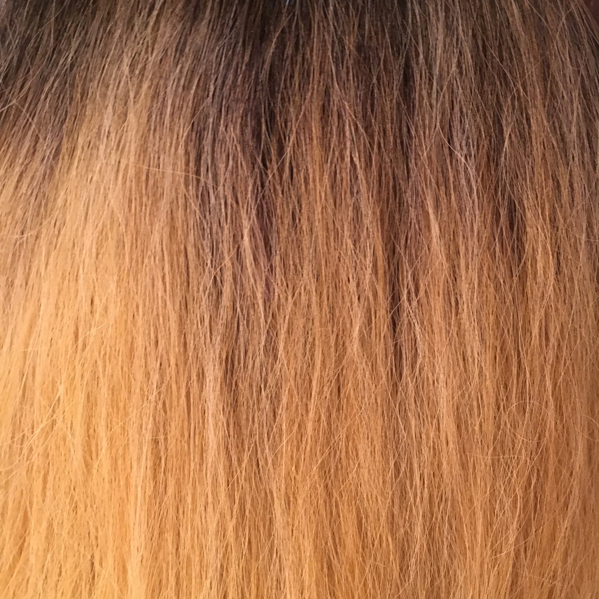 LaToya (Lace Front + Heat Safe)